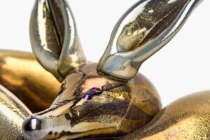 Read more about the article The Glass Ark