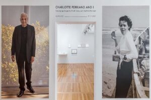 Read more about the article Charlotte Perriand and Frank Gehry