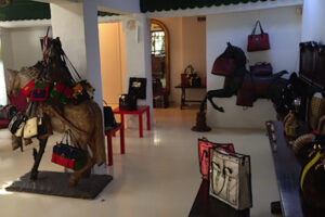 Read more about the article Roberta di Camerino