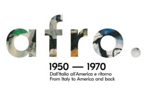 Read more about the article Afro 1950-1970