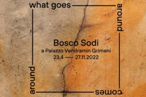 Read more about the article Bosco Sodi