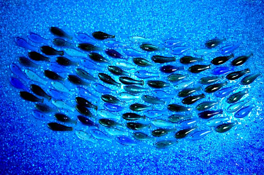 oceano glass panel