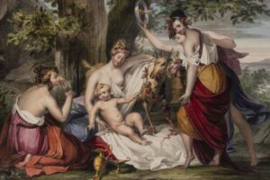 Album Cicognara at Ca' Rezzonico